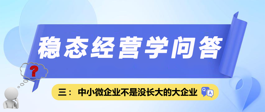 稳态经营学问答三｜中小微企业不是“没长大的大企业”