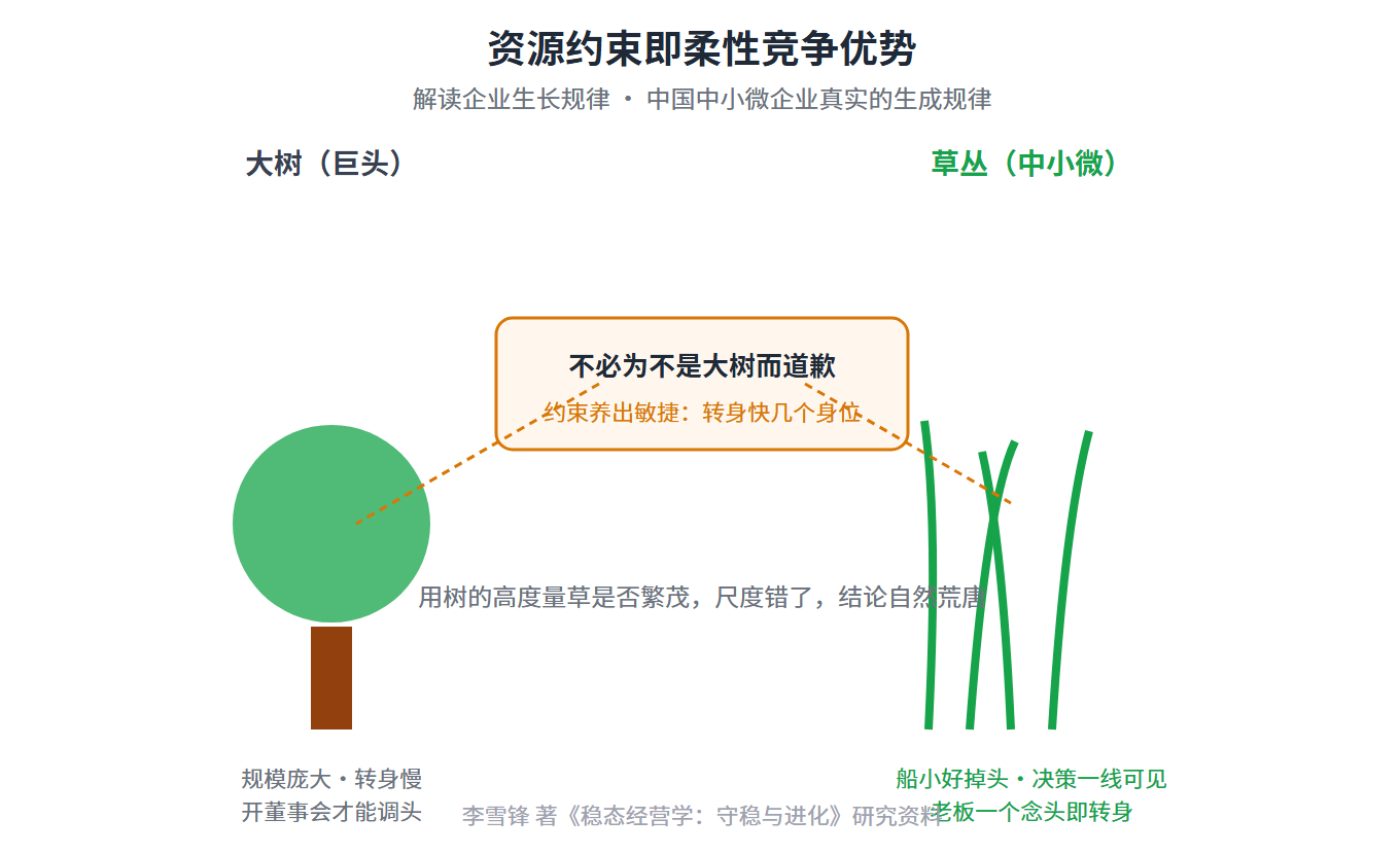 6a9643beba217.png 6a9643beba217.png